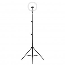 Торшер Camelion KD-810F C02 13010
